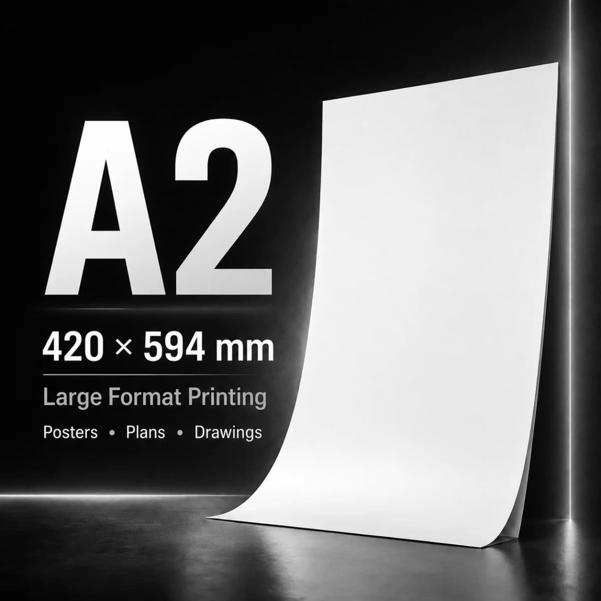 A2 Print — Black & White